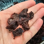 Rindfleisch getrocknet – getrocknetes Muskelfleisch für Hunde aus der Schweiz