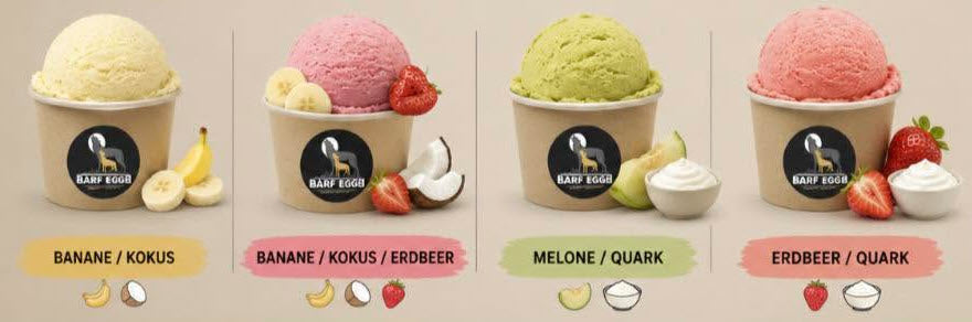 Eiscreme für Hunde – zuckerfreies Hundeeis aus natürlichen Zutaten
