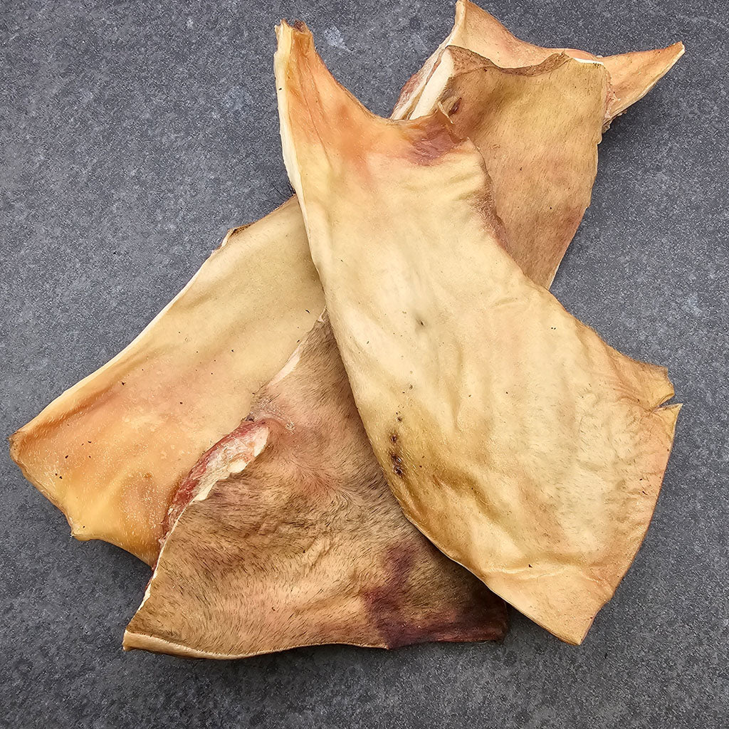 Kopfhautplatte Rind – ein natürlicher Kausnack für Hunde aus der Schweiz